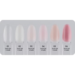 Quick Gel in Bottle 11g 05 Excellent PRO 2