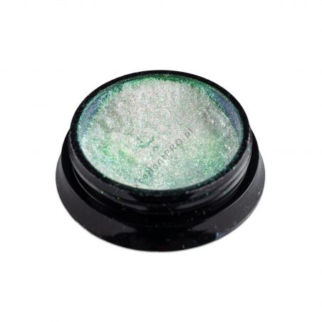 Powder 012 Nail Art Excellent PRO
