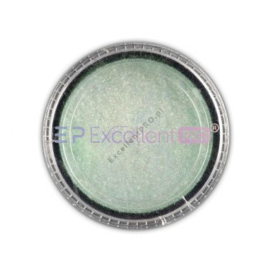 Powder 012 Nail Art Excellent PRO