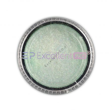 Powder 012 Nail Art Excellent PRO