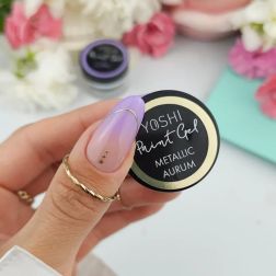 Paint  Gel METALLIC AURUM 5g YOSHI 2